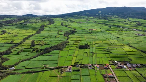 Panoramic View Of Patchwork Quilt From Serra do Cume On Terceira Island In The Stock Footage 334763076