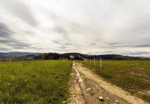 Panoramic view of a path or trail with water puddles in a middle of a green f Stock Photos