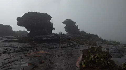 Panoramic view at peculiar topography of summit of Mount Roraima, Venezuela Stock Footage 244860449