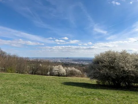 Panoramic View Stock Photos