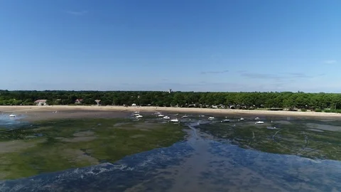 Panoramic View of pine forest and sea, arcachon bay Stock Footage 83200458