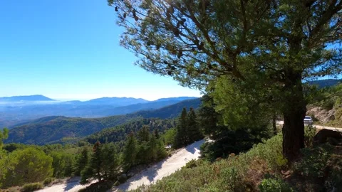 Panoramic view on pine forest on hiking trail to peak Torrecilla Stock Footage 290960676