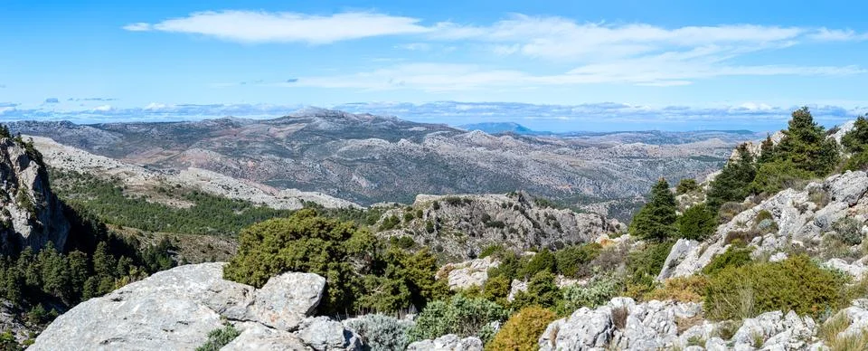 Panoramic view on pine forest on hiking trail to peak Torrecilla Stock Photos