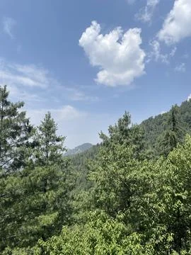 Panoramic View of Pine Forests and Hills in Khyber Pakhtunkhwa Stock Photos