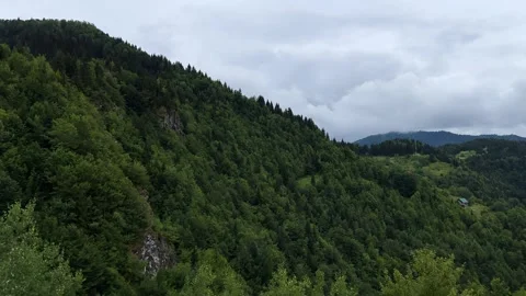 Panoramic view of pine tree forest in rock cliff landscape of nature Caucasus Stock Footage 338054015