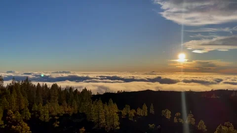 Panoramic View of Pine Trees and Clouds at Teide Park Vídeo Stock 308220742