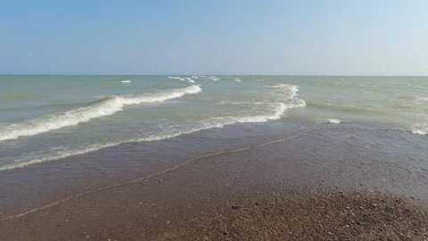 Panoramic view of Point Pelee National Park beach in the summer season, mos.. Vídeos de archivo 246248577