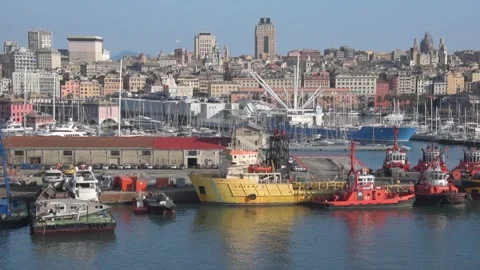 Panoramic view of the port of genoa Stock Footage 137954441