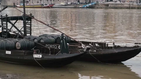 Panoramic View on Porto Stock Footage 131599489