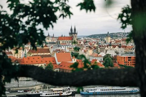 Panoramic view of Prague red roofs and Tyn Church framed by trees. Historic Fotos Stock