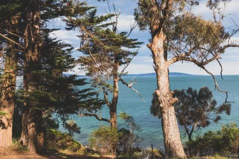 Panoramic view of pristine Tasmania beach landscape in Australia Stock Photos