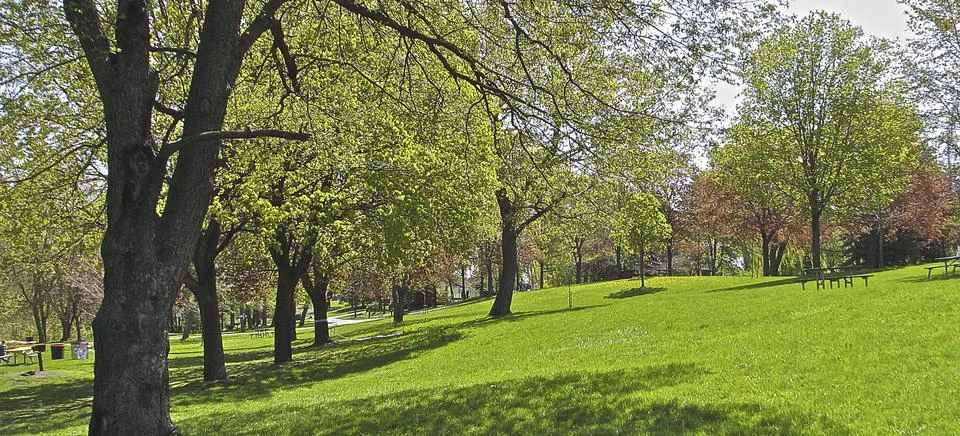 Panoramic view of the public park in the springtime. Stock Photos