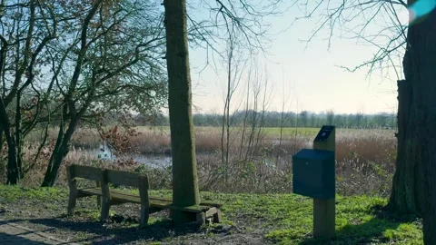 Panoramic view of a quiet park landscape Видео 331188798