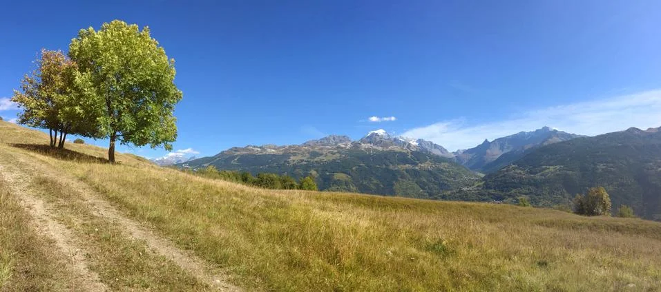 Panoramic view on range alpine mountain from a path in a meadow Stock Photos