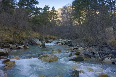 Panoramic view of rapid mountain river 库存照片