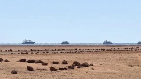 Panoramic View from Ras Muhammad National Park of Tourist Yachts in the Red Sea Vídeo Stock 341839196
