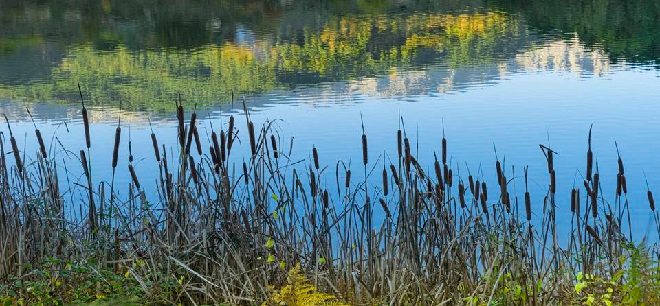 Panoramic view of the reflection of some mountains in the calm water of a lake. Stock Photos