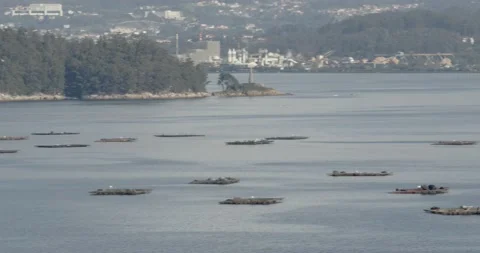 Panoramic view of Ria de Pontevedra, Galicia, Spain Video stock 148240832
