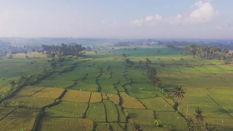 Panoramic view of rice fields and distant village in Lombok, Indonesia Stock Footage 307556206