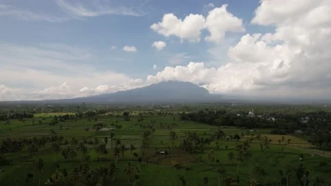 Panoramic view of rice terrace and mount rinjani Stock Footage 169683847