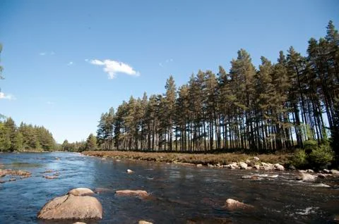 Panoramic view river and forest inverness scotland europe Stock Photos