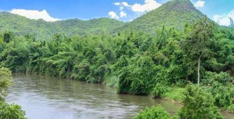 Panoramic view of river and forest with mountain background. Stock Photos