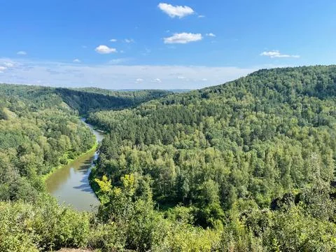 Panoramic view of the river and forest on a sunny summer day Stock Photos
