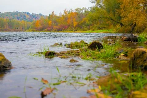 A panoramic view of the river and its banks in Sigulda city autumn Stock Photos