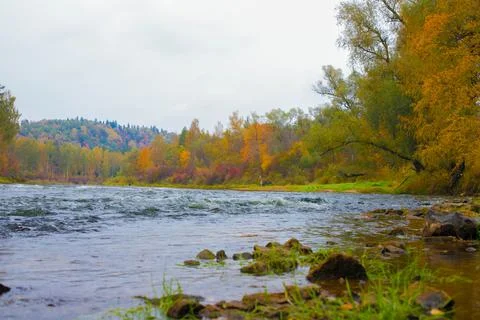 A panoramic view of the river and its banks in Sigulda city autumn Stock Photos