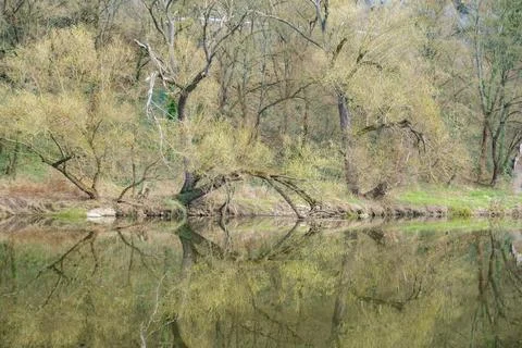 Panoramic view of river with emerald water and boats in the early spring Stock Photos