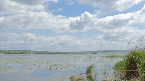Panoramic View of The River Stock Footage 127423957