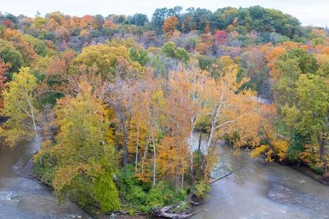 Panoramic View of River Fork Surrounded by Autumn Trees Stock Photos