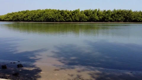 Ethical Gambia Tours