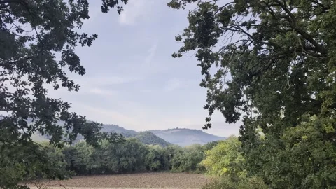 Panoramic view of a river immersed in uncontaminated nature Stock Footage 347196177