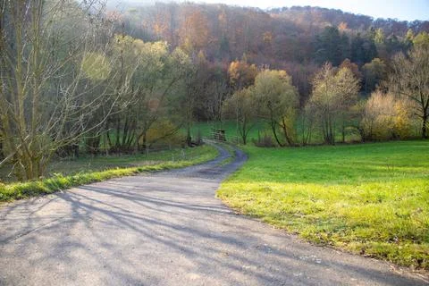 Panoramic view on a road with green meadows blue sky, in autumn with forest Stock Photos
