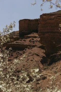 Panoramic view to the road in the red canyon Stock Photos