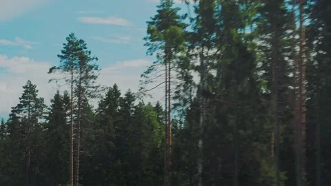 Panoramic view of the road from the window of a moving car. Karelia. Stock-Footage 143313518