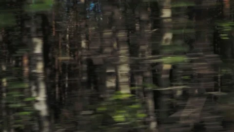 Panoramic view of the road from the window of a moving car. Karelia. Stock Footage 143313596