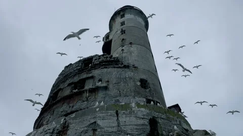 Panoramic view from rocks to abandoned lighthouse Aniva and hovering seagulls Stock Footage 209134224