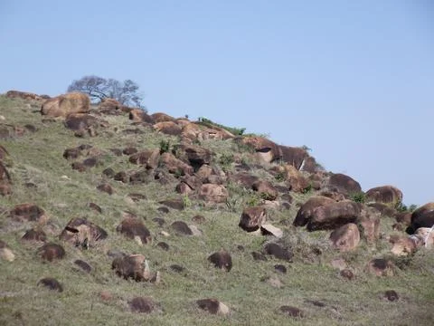 Panoramic view of rocks on a hill Stock Photos