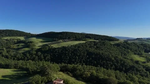 Panoramic View of Rolling Dark Forest Hills Under Blue Summer Sky Видео 346438620
