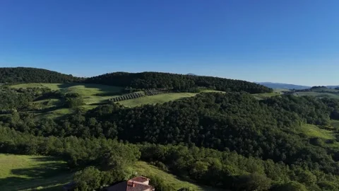 Panoramic View of Rolling Forest Hills and Open Green Valley Stock Footage 346204842
