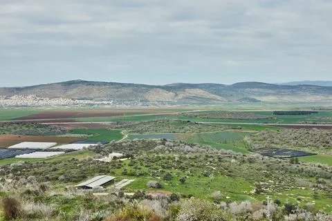 A panoramic view of rolling green fields, agricultural plots, and a distant t Stock Photos