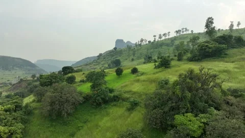 A panoramic view of rolling green hills and valleys under a hazy sky. Spars.. Stock Footage 305836530