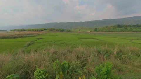 A panoramic view of rolling hills and lush green fields under a vast sky Stock Footage 321894368