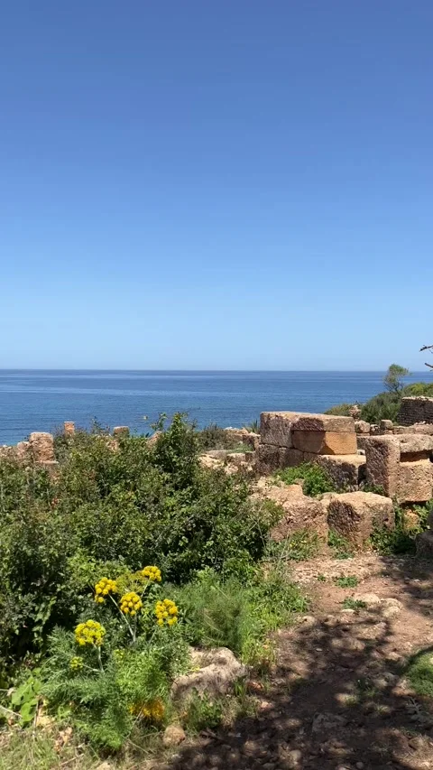 Panoramic view of the Roman ruins in Tipasa, Algeria Stock Footage 251370488