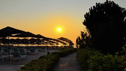 Panoramic view row of silhouettes umbrellas and empty sun loungers at sunset. Stock Footage 313125185