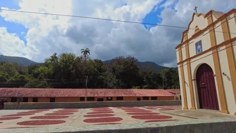 A panoramic view of rows of circles containing cacao beans drying during the Stock Footage 332380834