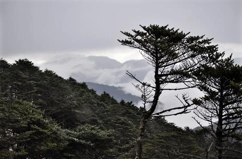 Panoramic view of rows of mountain ridges Stock Photos