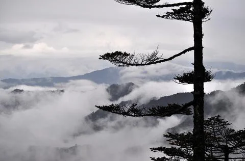 Panoramic view of rows of mountain ridges Stock Photos